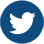 twitter Icon